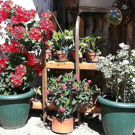 Апартаменты Haus Elsasser *