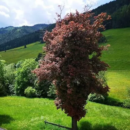 Апартаменты Haus Elsasser *